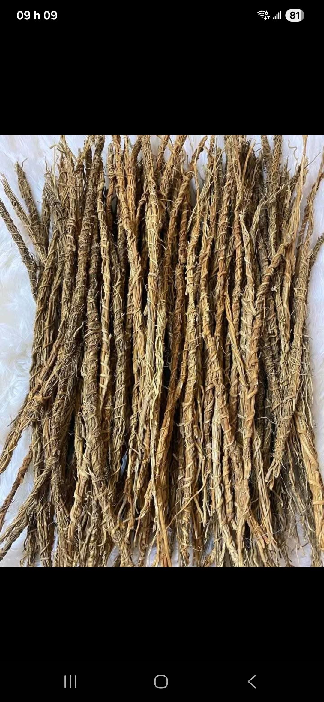 Khamaré & Gongolili (Racines de Vétiver) – Soin Traditionnel