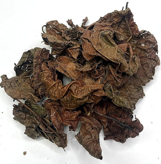 Feuilles de Djeka Premium – Soin Purifiant Intime & Bien-être Global