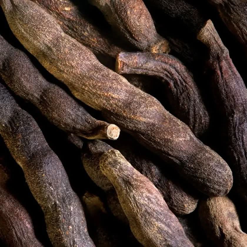 Poivre Long Africain (Uda) - Nettoyage Ancestral & Infusion