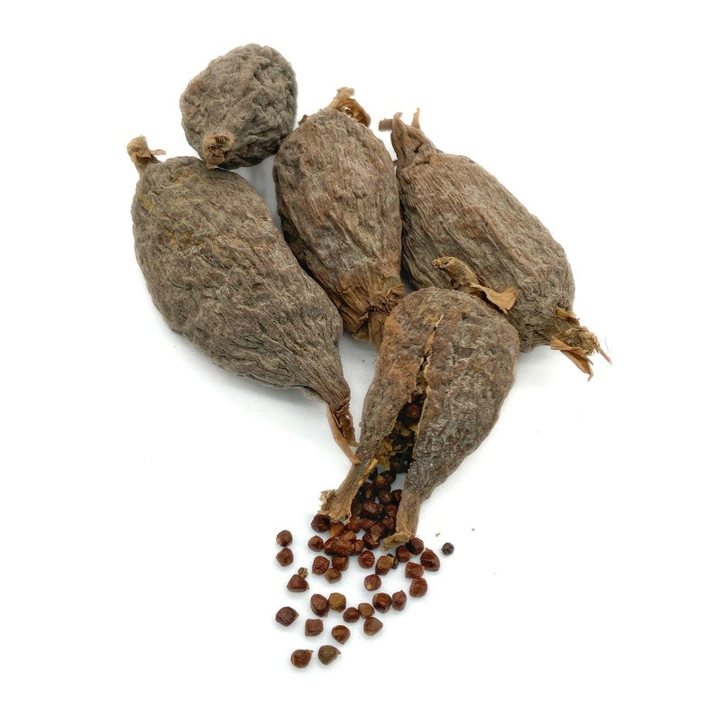 Piment de Guinée (Maniguette) – Épice Ancestrale & Énergie Naturelle