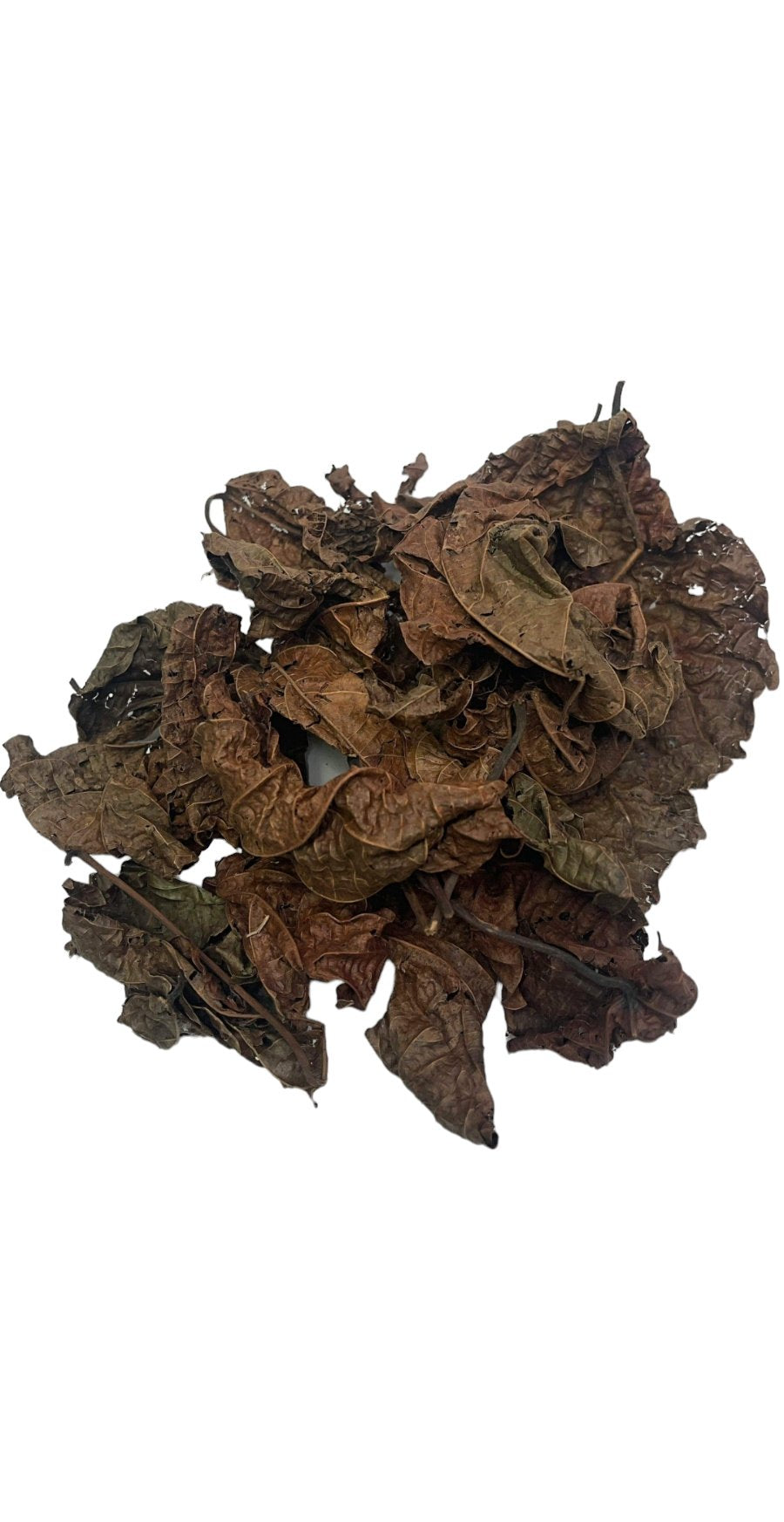 Feuilles de Djeka Premium – Soin Purifiant Intime & Bien-être Global