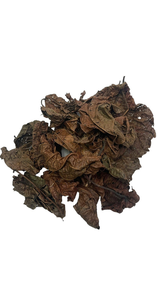 Feuilles de Djeka Premium – Soin Purifiant Intime & Bien-être Global