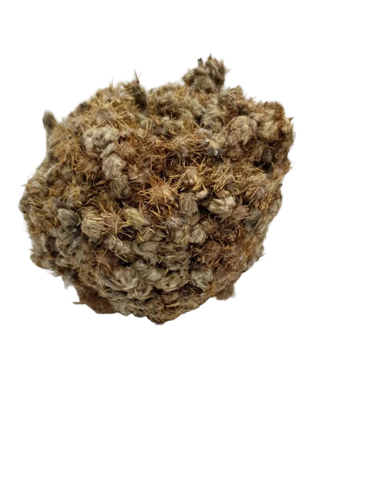 Coller-Serrer (Secret Intime) – Raffermissant Naturel & Bien-être