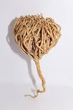 Rose de Jéricho (Fleur de la Résurrection) – Rituel de Renaissance