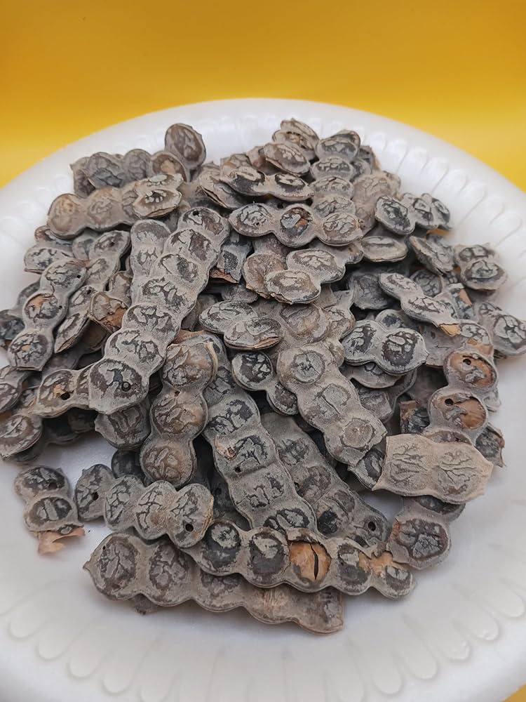 Graines de Nep Nep Premium (Acacia Nilotica) – Soin Naturel, Hygiène Intime & Infusion