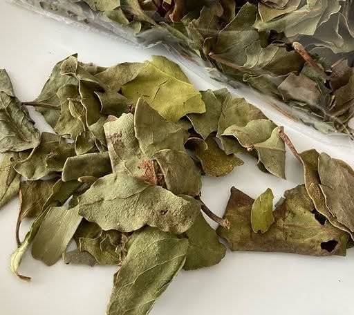 Moussoyiri - Plante de la Femme & Épanouissement